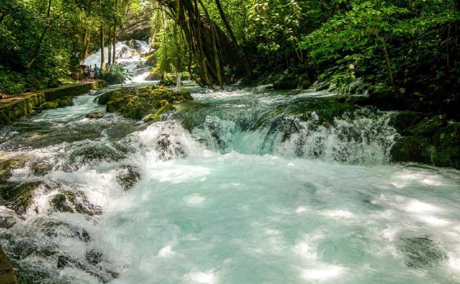 Nacimiento de Tambaque