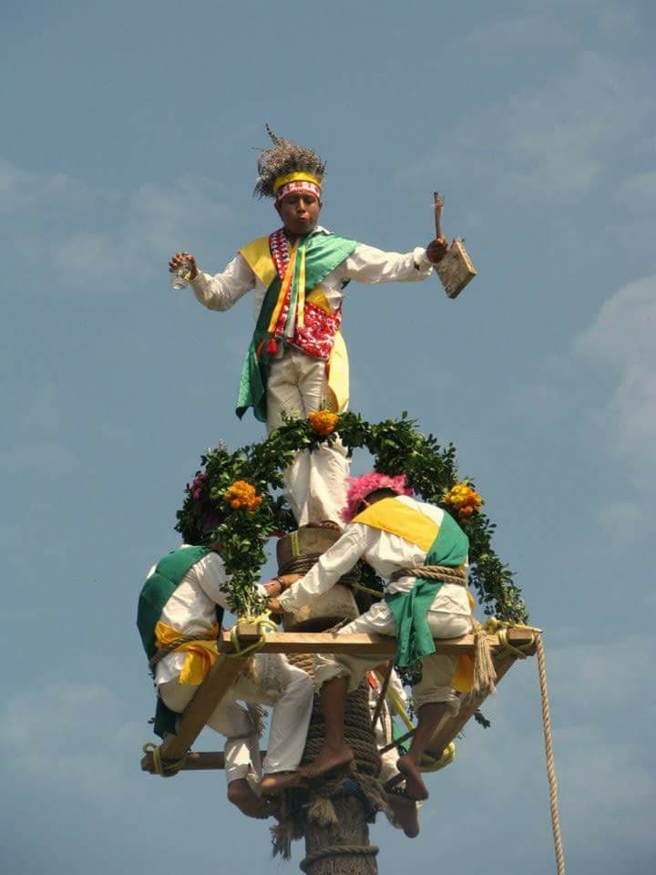 Voladores de Tamaletón — foto 3